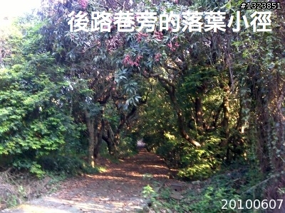 下一站，139（20110319補上二輪木屋後方已鋪上柏油的好漢坡、四面佛寺內陡坡與挑水古道新路線照片）