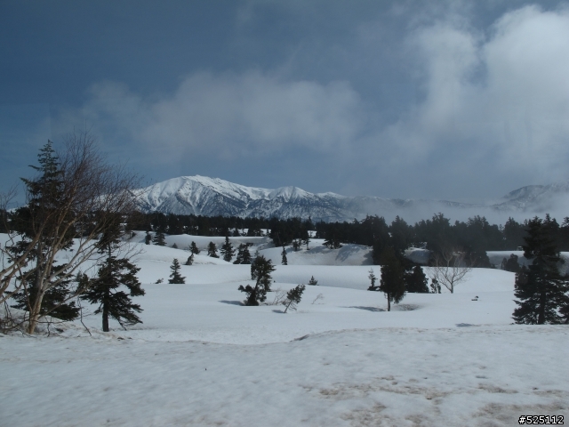 [分享] 日本 立山黑部阿爾卑斯山脈路線