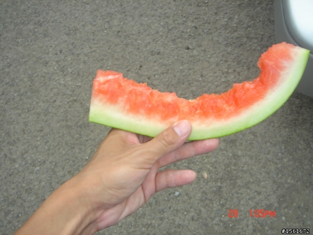(照片)2010石門三鐵照片