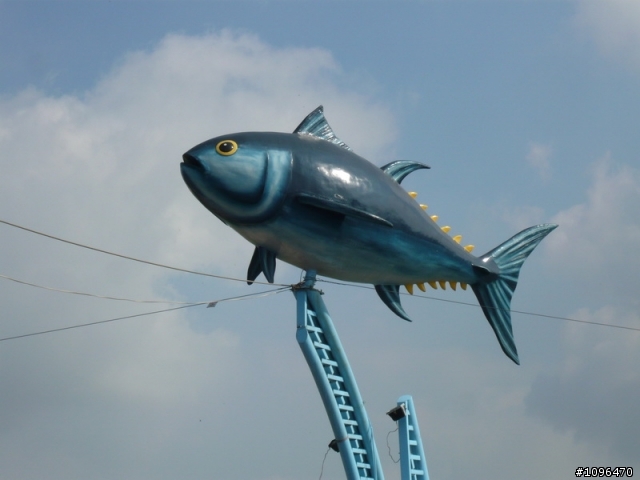 2010.05.17~21 5天4夜單人逆時針環島(3百張圖的遊記)