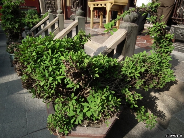 2010.05.17~21 5天4夜單人逆時針環島(3百張圖的遊記)