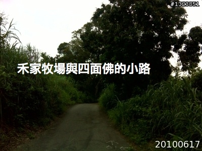 下一站，139（20110319補上二輪木屋後方已鋪上柏油的好漢坡、四面佛寺內陡坡與挑水古道新路線照片）