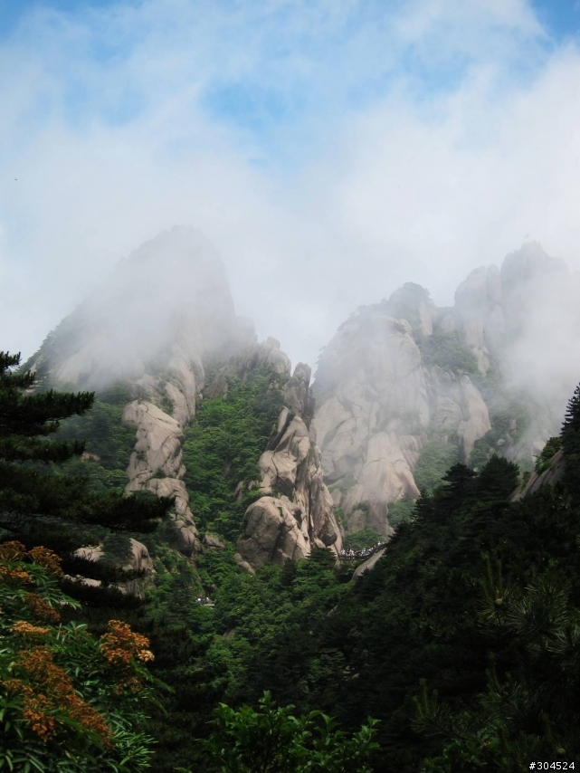 米格魯與黃山.........