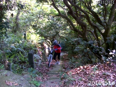 下一站，139（20110319補上二輪木屋後方已鋪上柏油的好漢坡、四面佛寺內陡坡與挑水古道新路線照片）