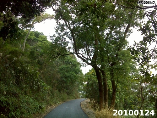 下一站，139（20110319補上二輪木屋後方已鋪上柏油的好漢坡、四面佛寺內陡坡與挑水古道新路線照片）