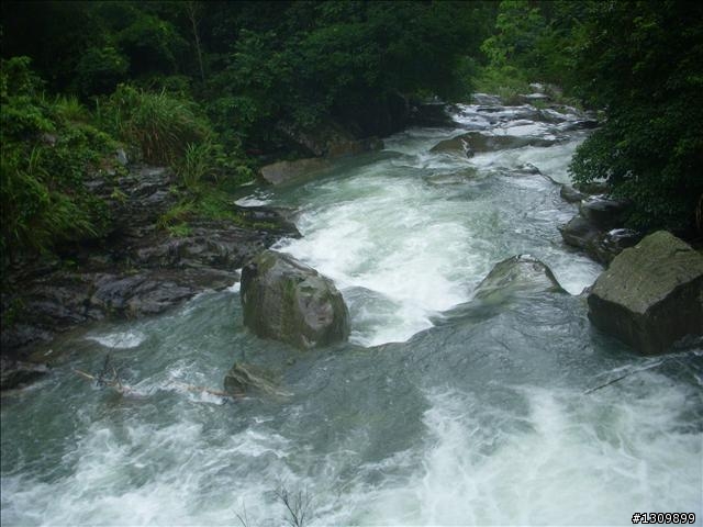 2010 NeverStop永不放棄系列活動-鹿場部落之雨中遊記