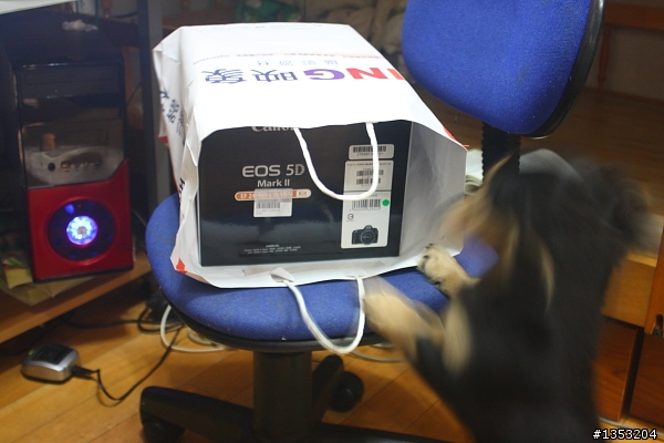 終於踏入無敵家族之5D2開箱+一路在C家把玩的淺短經歷