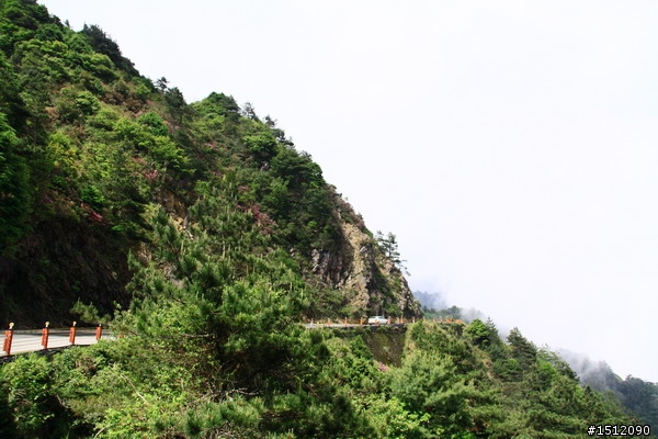 [分享]武嶺~其實也可以這樣騎
