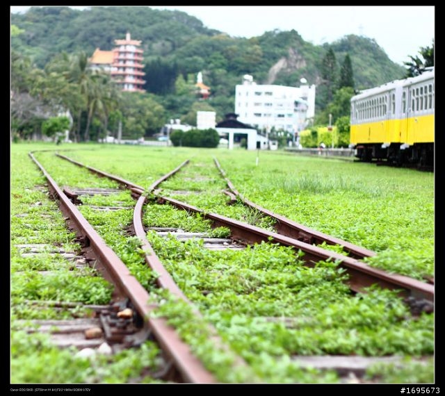台東森林公園&鐵道藝術村