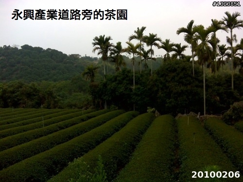 下一站，139（20110319補上二輪木屋後方已鋪上柏油的好漢坡、四面佛寺內陡坡與挑水古道新路線照片）