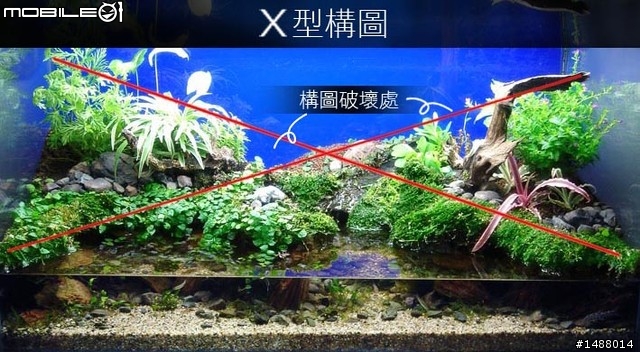 [慶祝開板]我的室內生態缸~