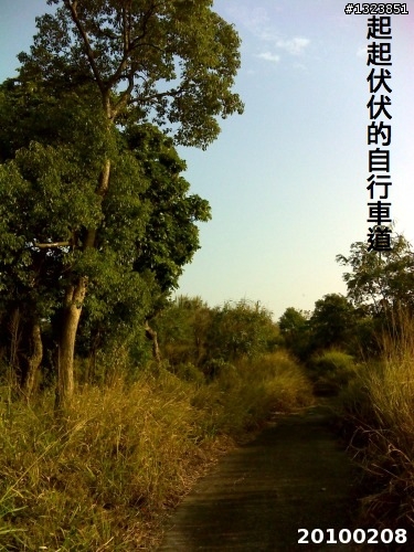 下一站，139（20110319補上二輪木屋後方已鋪上柏油的好漢坡、四面佛寺內陡坡與挑水古道新路線照片）
