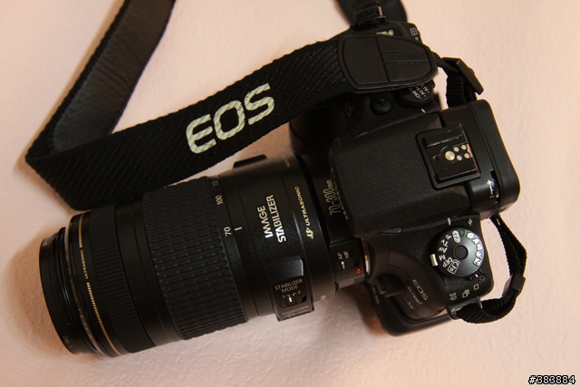 底片新手，Canon EOS 30V 入手