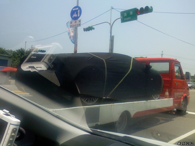 穿衣服滴牛牛在車上