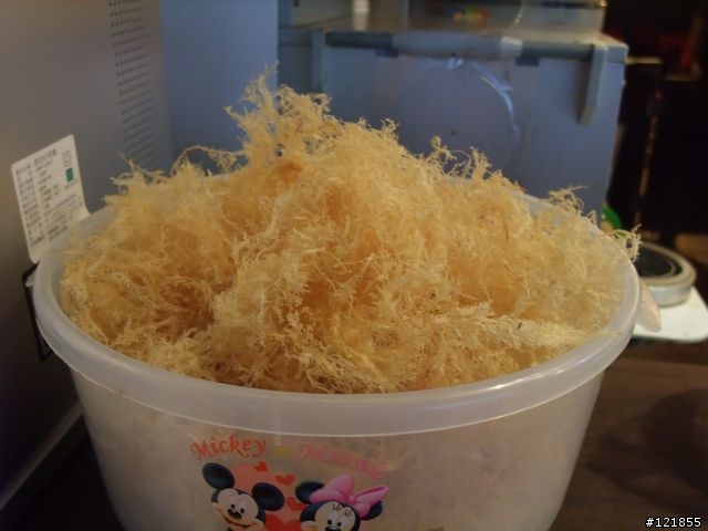 [食玩天地] 台北貢寮 福隆海水浴場-2010沙雕季