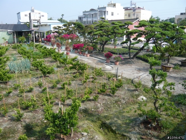 2010.05.17~21 5天4夜單人逆時針環島(3百張圖的遊記)