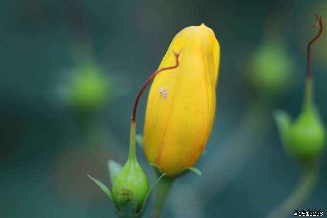 【分享】當CANON遇上萊卡