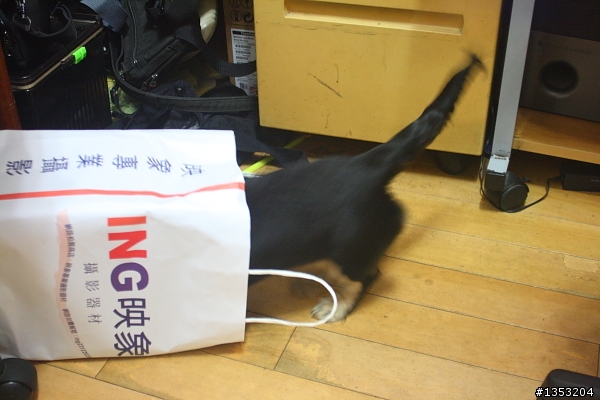 終於踏入無敵家族之5D2開箱+一路在C家把玩的淺短經歷