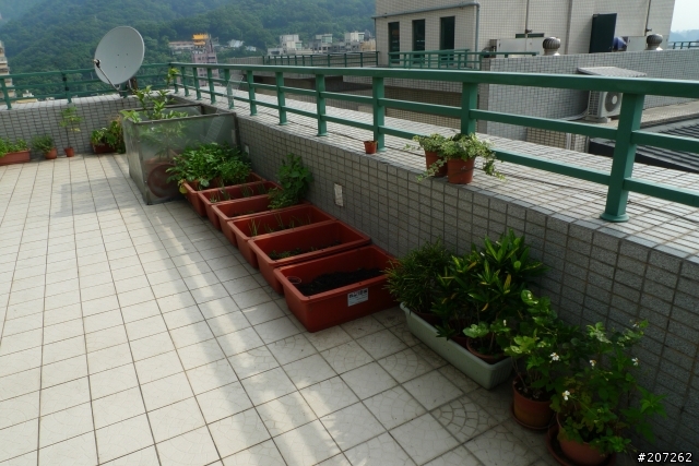 我們家的空中花果園