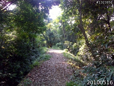 下一站，139（20110319補上二輪木屋後方已鋪上柏油的好漢坡、四面佛寺內陡坡與挑水古道新路線照片）