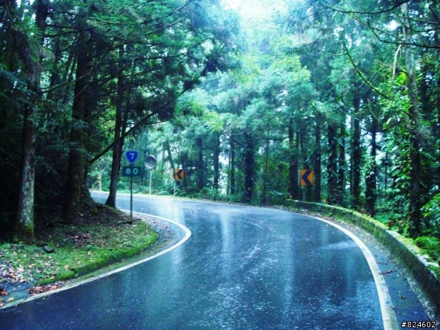 更瘋，滂薄大雨中的一日雙北! [叔叔有點秀斗，好孩子不要學]