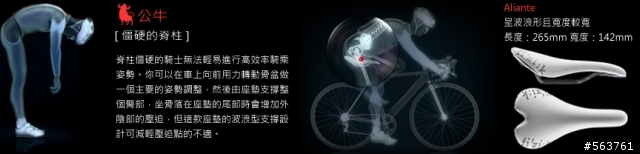 【分享】舒服好坐的新坐墊--Fizik Antares 00