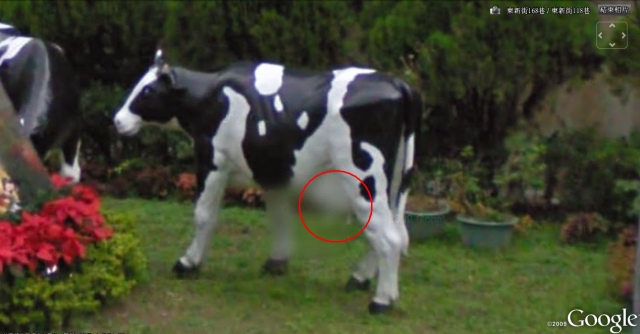 這樣....也算露點嗎?