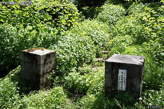 NEX-5 開箱了