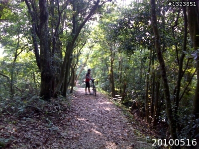 下一站，139（20110319補上二輪木屋後方已鋪上柏油的好漢坡、四面佛寺內陡坡與挑水古道新路線照片）