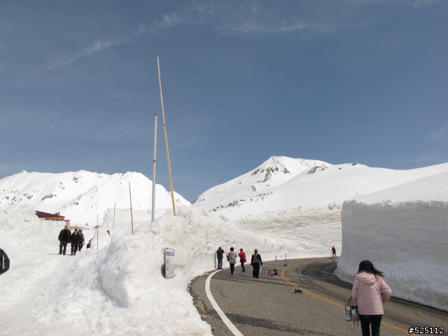 [分享] 日本 立山黑部阿爾卑斯山脈路線