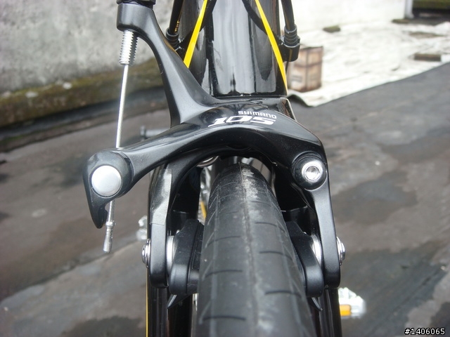 捷安特 10年 TCR 1 分享