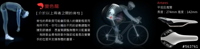 【分享】舒服好坐的新坐墊--Fizik Antares 00