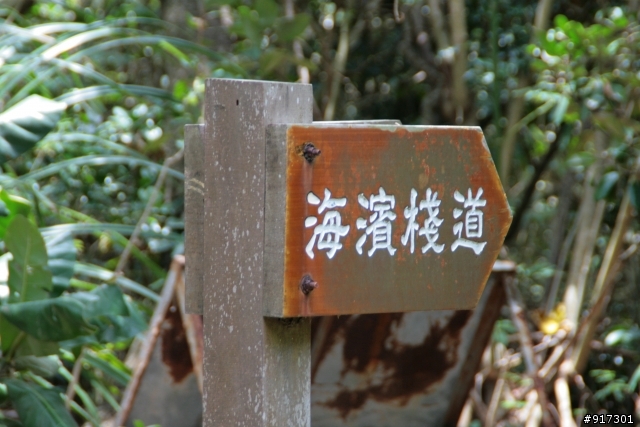請問400D該搭配什麼樣的鏡頭呢?135mm F2L?