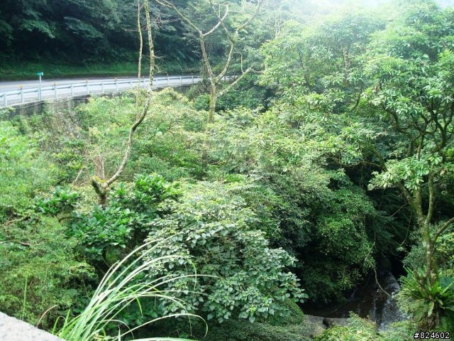 更瘋，滂薄大雨中的一日雙北! [叔叔有點秀斗，好孩子不要學]