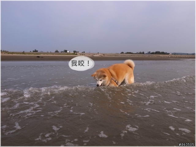 【白浪滔滔妹很怕】後龍水尾沙灘