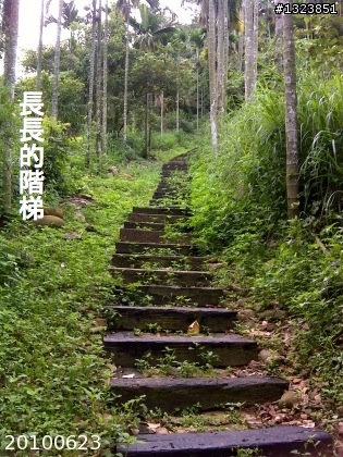 下一站，139（20110319補上二輪木屋後方已鋪上柏油的好漢坡、四面佛寺內陡坡與挑水古道新路線照片）