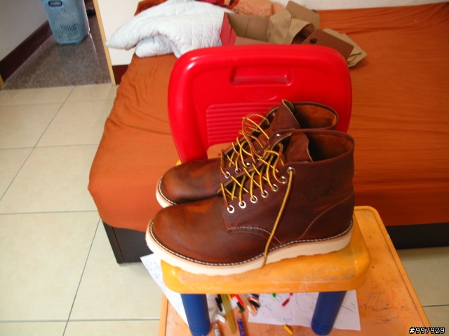 "分享"夢寐以求的(跟老婆求來的) red wing 9111.........