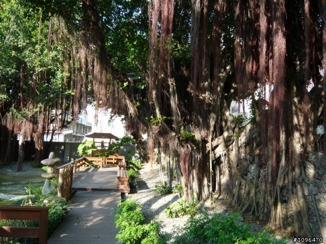 2010.05.17~21 5天4夜單人逆時針環島(3百張圖的遊記)