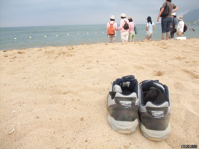 [食玩天地] 台北貢寮 福隆海水浴場-2010沙雕季