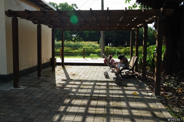 端午節橋頭糖廠半日遊....請針對構圖給建議