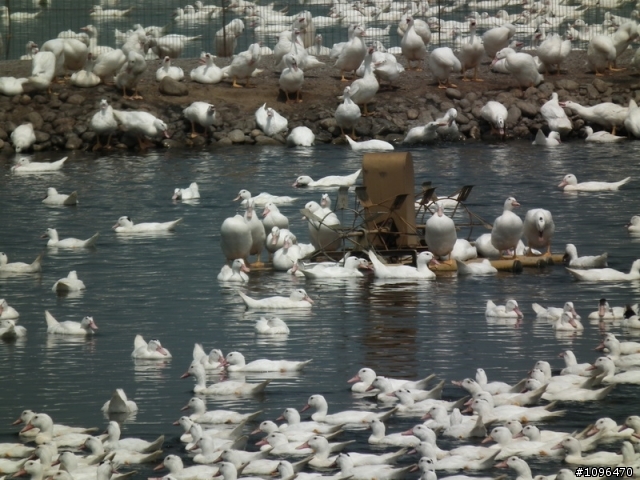 2010.05.17~21 5天4夜單人逆時針環島(3百張圖的遊記)
