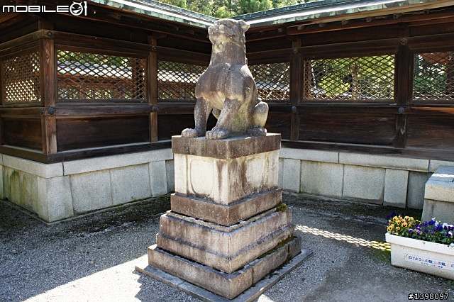 NEX-5 開箱了