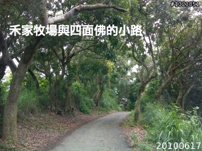 下一站，139（20110319補上二輪木屋後方已鋪上柏油的好漢坡、四面佛寺內陡坡與挑水古道新路線照片）