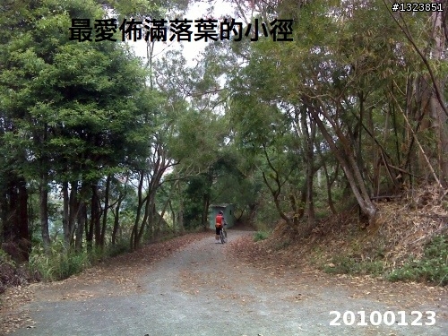 下一站，139（20110319補上二輪木屋後方已鋪上柏油的好漢坡、四面佛寺內陡坡與挑水古道新路線照片）