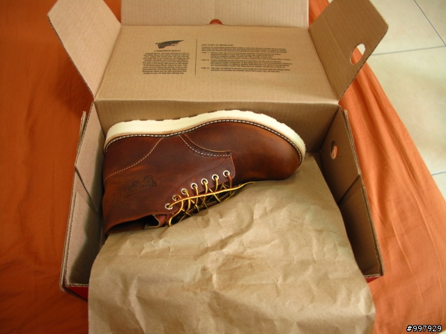 "分享"夢寐以求的(跟老婆求來的) red wing 9111.........