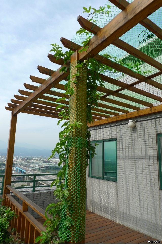 我們家的空中花果園