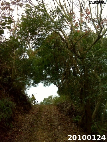 下一站，139（20110319補上二輪木屋後方已鋪上柏油的好漢坡、四面佛寺內陡坡與挑水古道新路線照片）