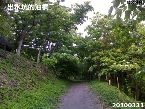 下一站，139（20110319補上二輪木屋後方已鋪上柏油的好漢坡、四面佛寺內陡坡與挑水古道新路線照片）
