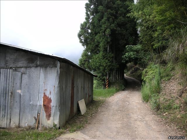 逆來順去雙滿貫