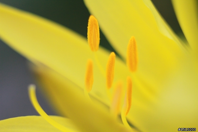 【分享】當CANON遇上萊卡